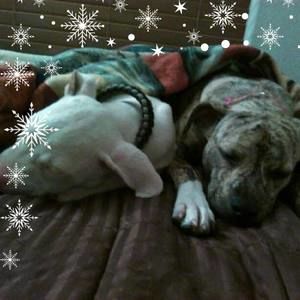 Meet your Posher, Martin